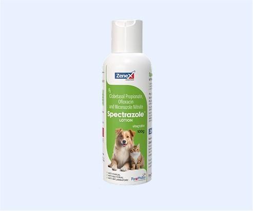 Zenex SPECTRAZOLE LOTION 100 GM
