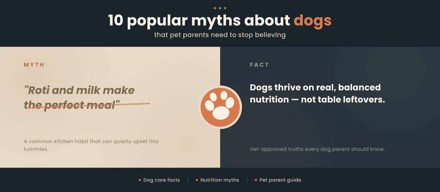 10 Popular Myths About Dogs That Pet Parents Need to Stop Believing