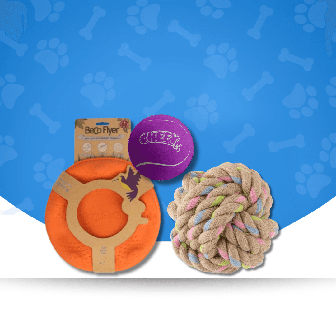 Ball & Fetch Toys