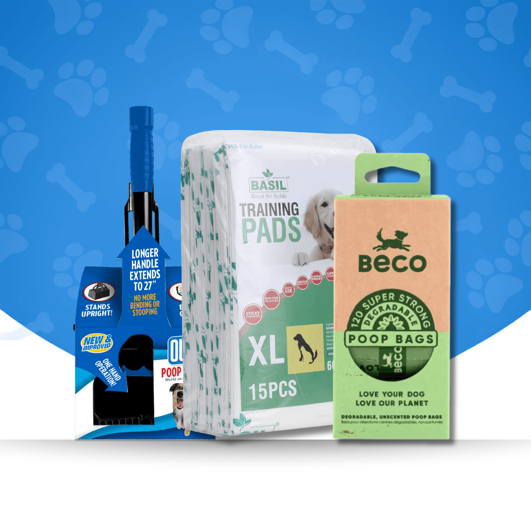 Cleaning & Waste disposal