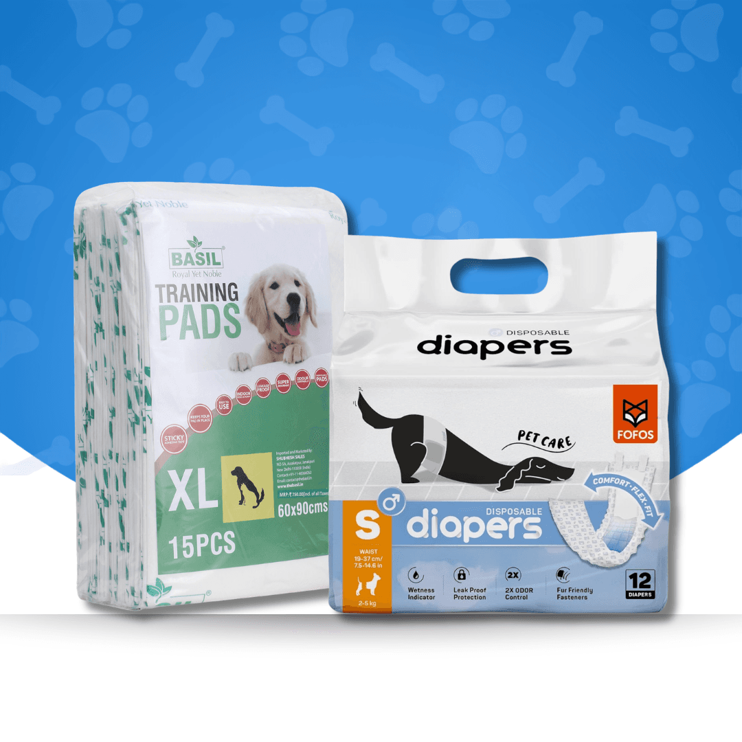 Diapers & Training Pads