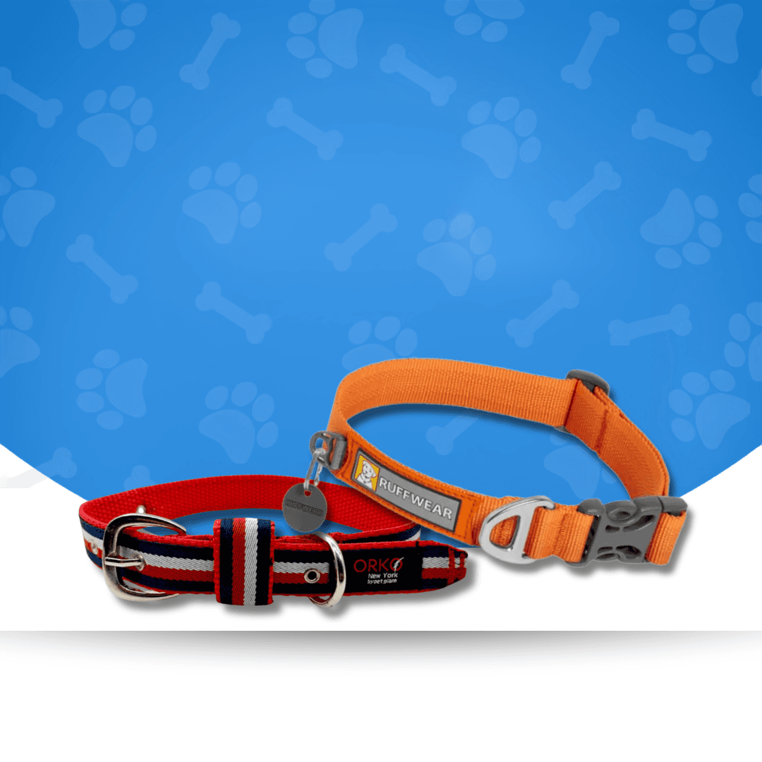 Dog Collars