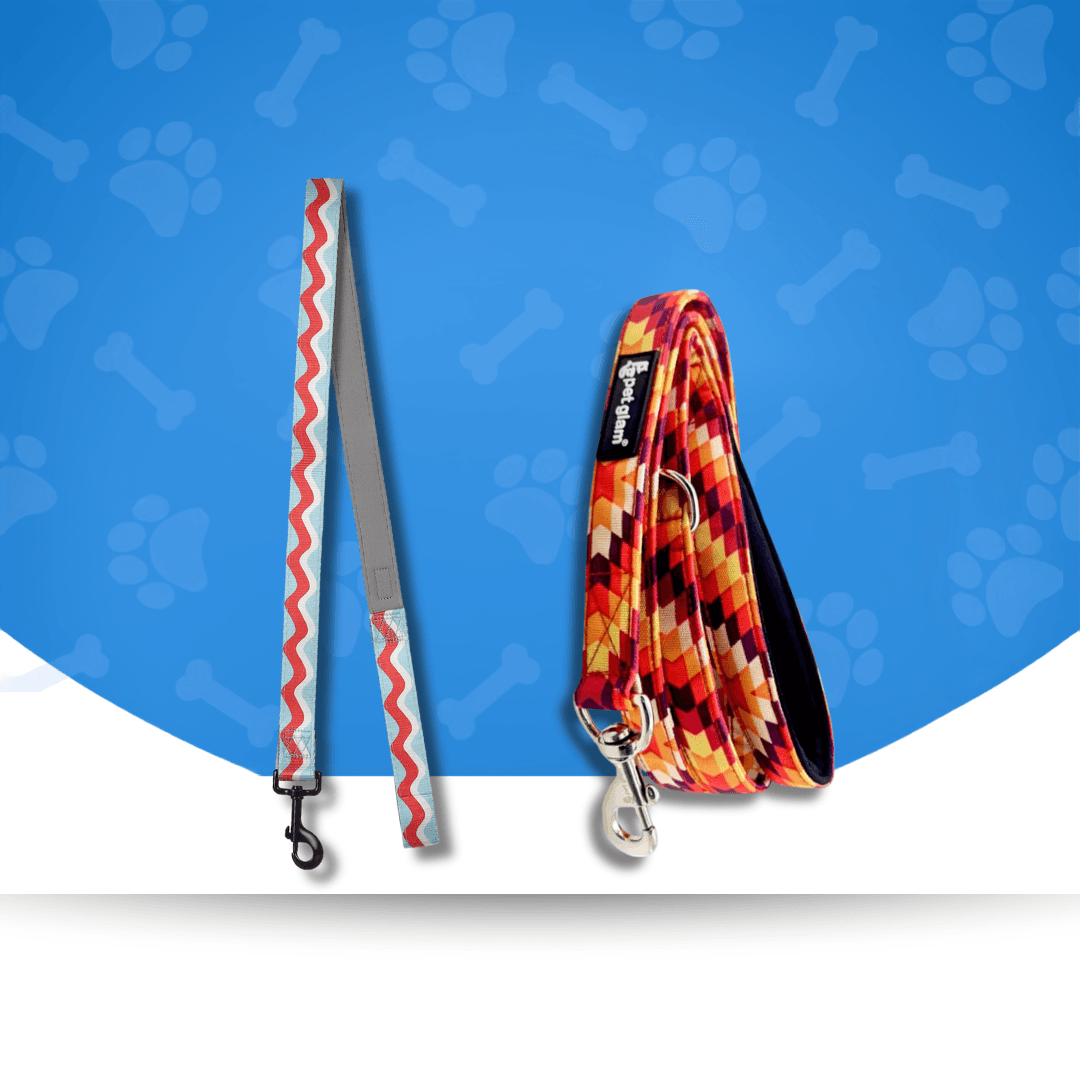 Dog Leashes
