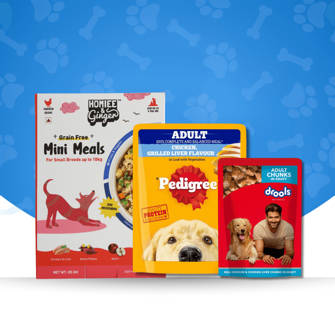 Dog Wet Food