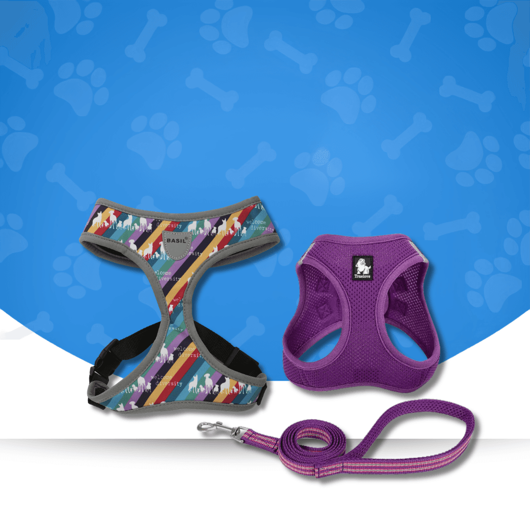 Dog Harnesses