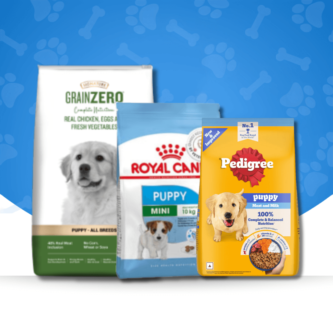 Puppy Food