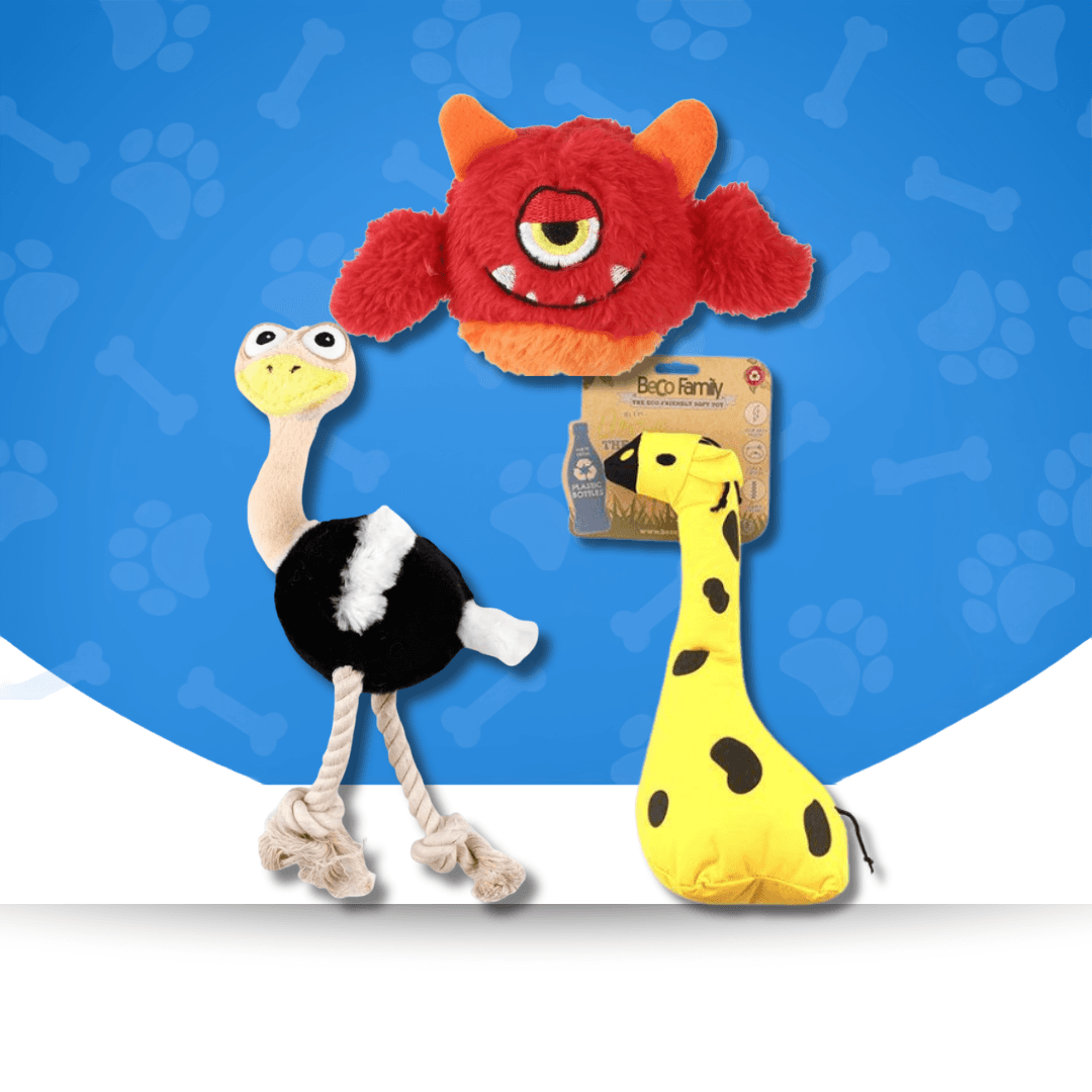 Squeaky Dog Toys