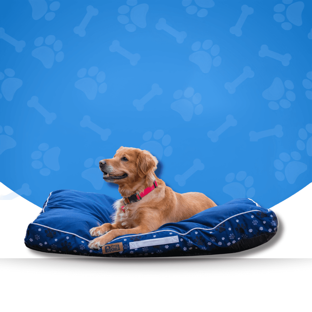 Dog Beds & Mats