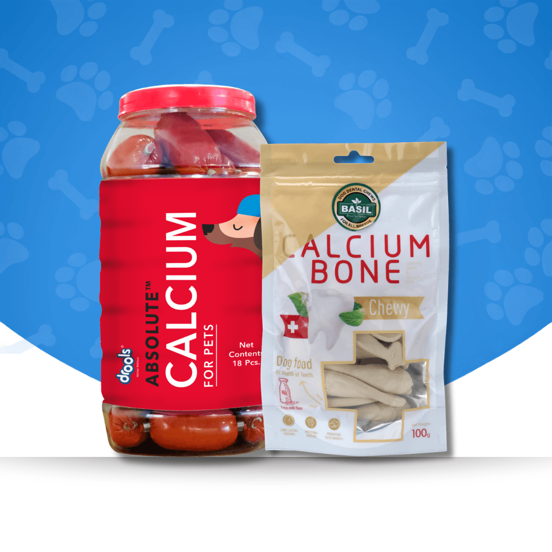 Calcium Bones