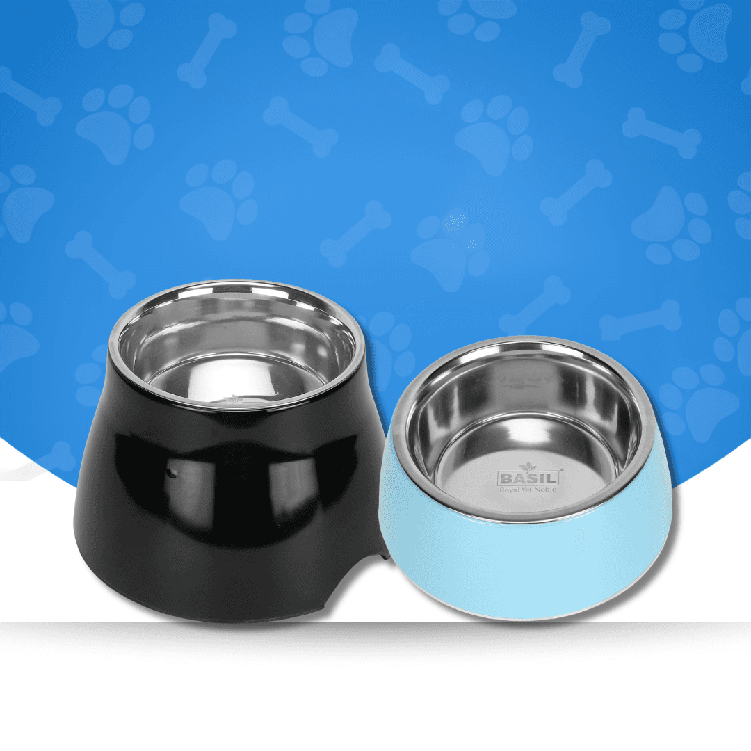 Dog Bowls
