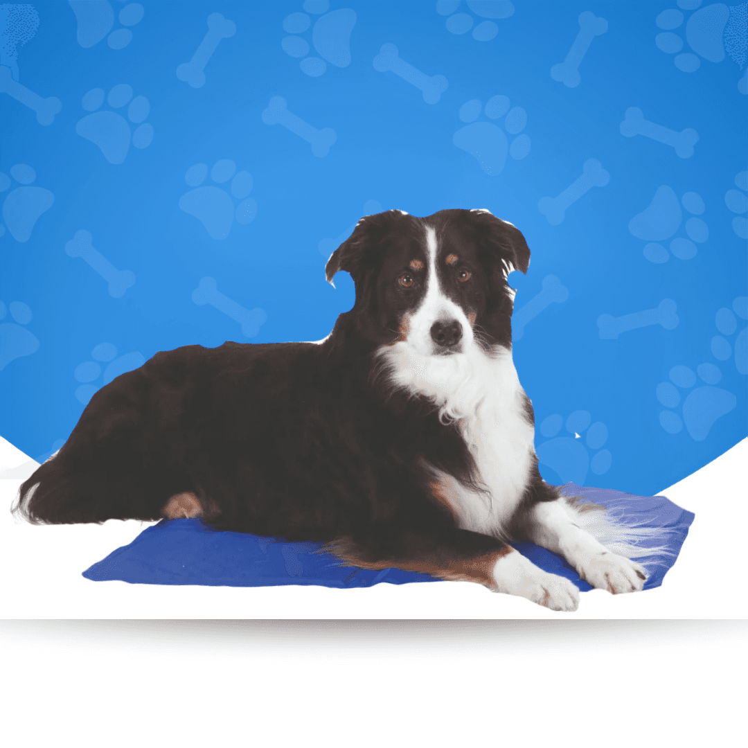 Dog Cooling Mats