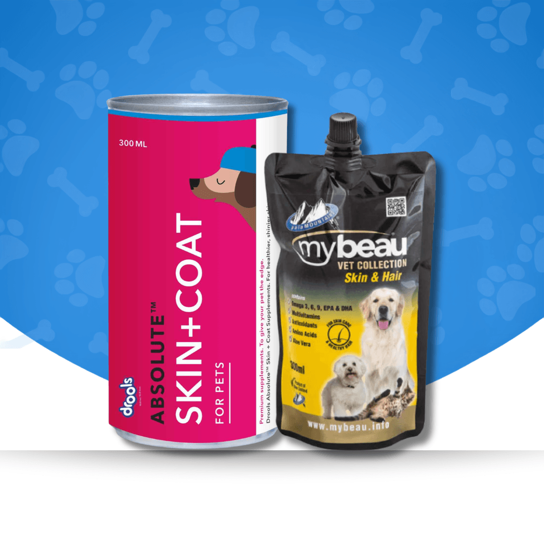 Dog Food Supplements