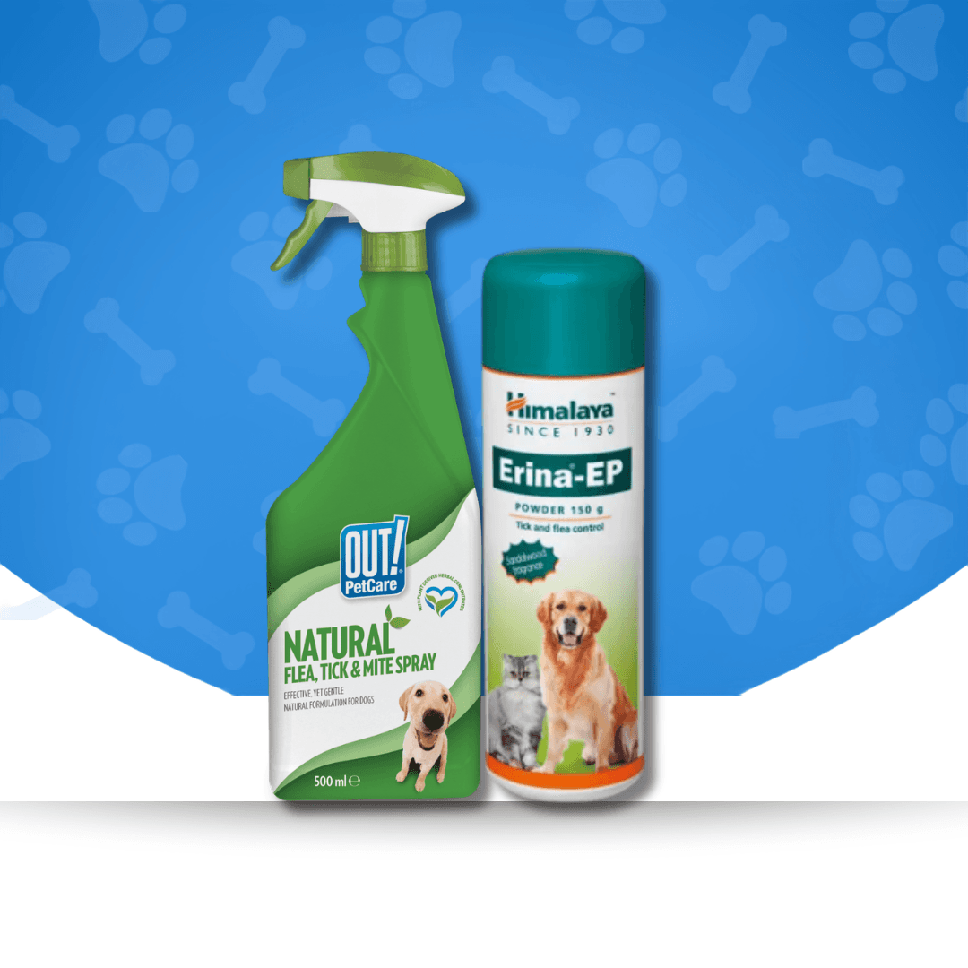 Dog Tick & Flea Solutions