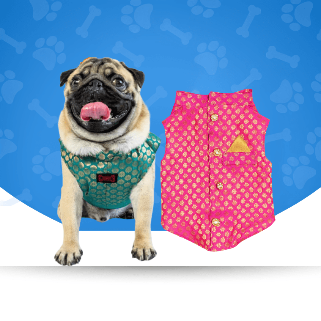 Dog Ethnic Wear