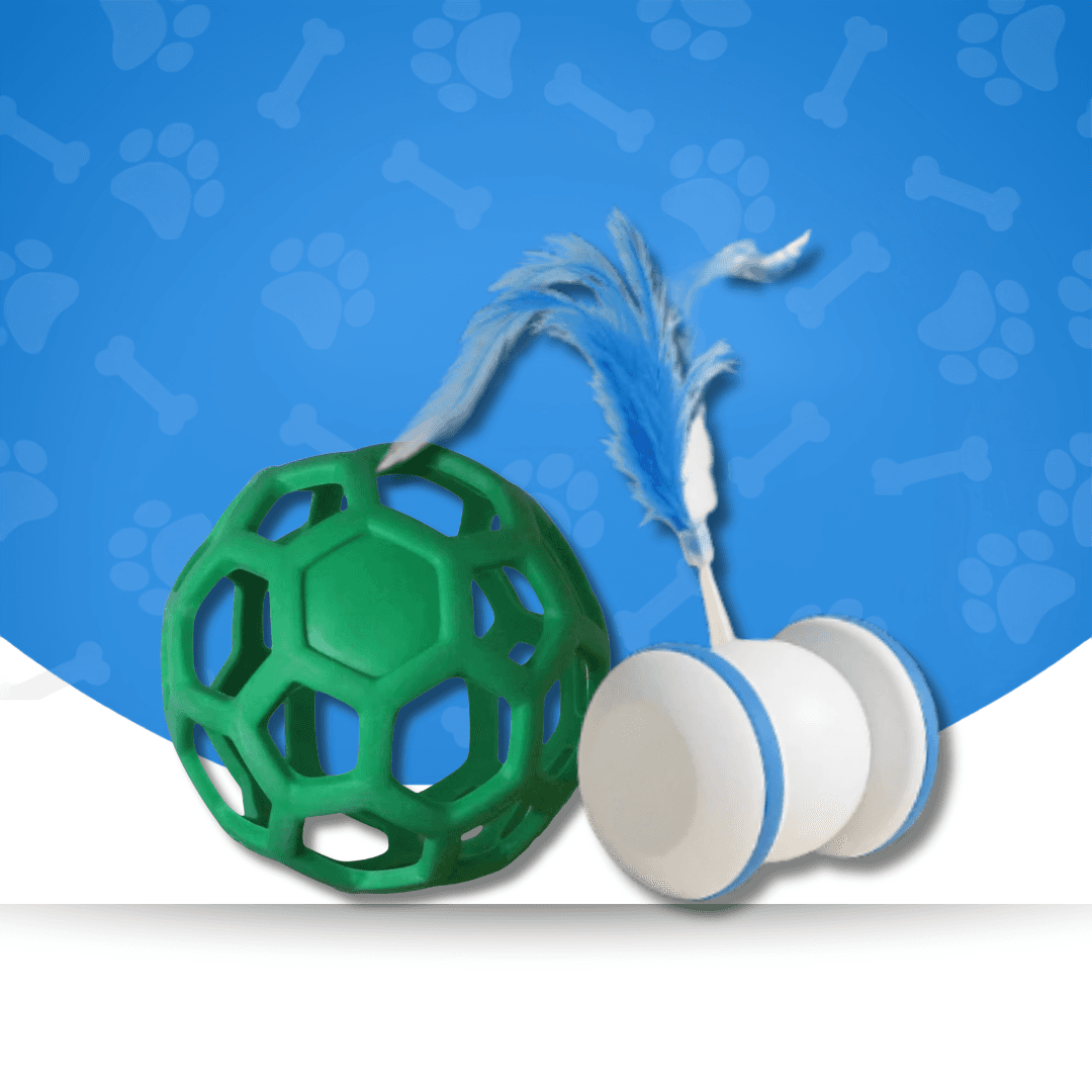 Interactive & Smart Toys