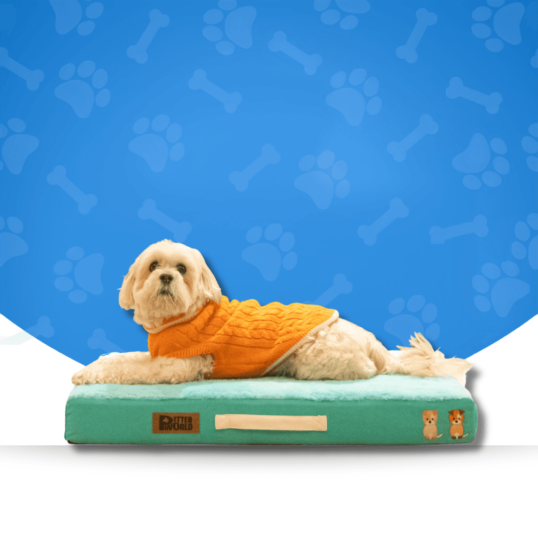 Orthpedic Dog Beds
