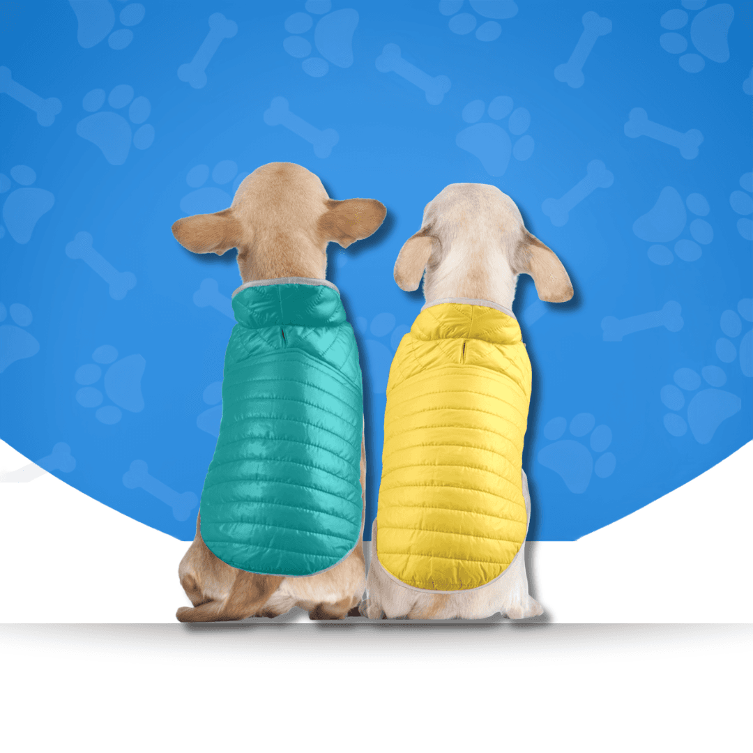 Dog Winter Wear