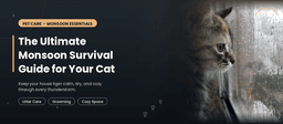The Ultimate Monsoon Survival Guide for Your Cat