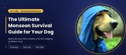 The Ultimate Monsoon Survival Guide for Your Dog