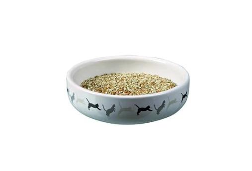 Ceramic Bowl with Cat Grass