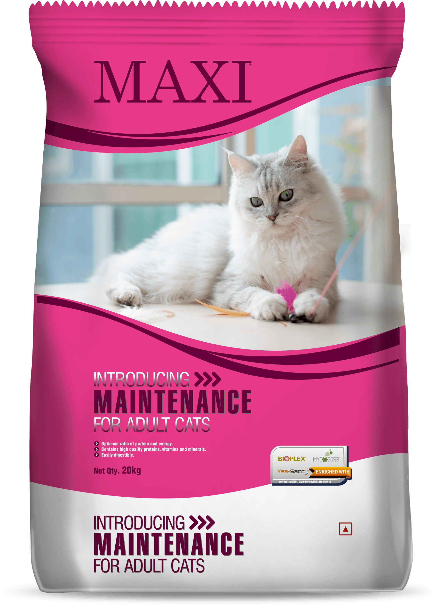 Maintenance Cat Adult Dry Food
