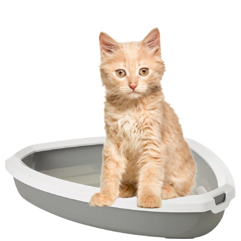 Rincon Corner Litter Tray with Rim ( Cool  Grey)