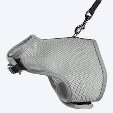 Soft Harness with Leash for Cats  