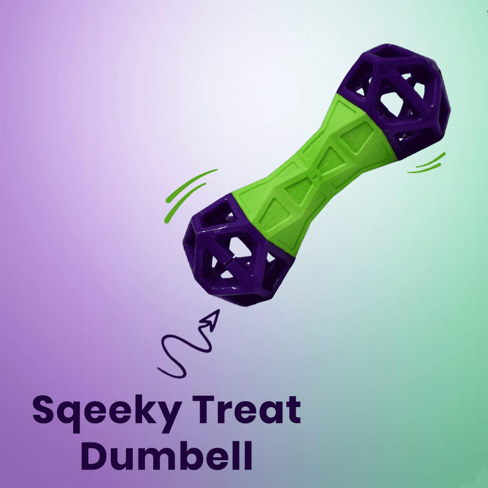TPR Treat Dumbbell With Squeaker Toys