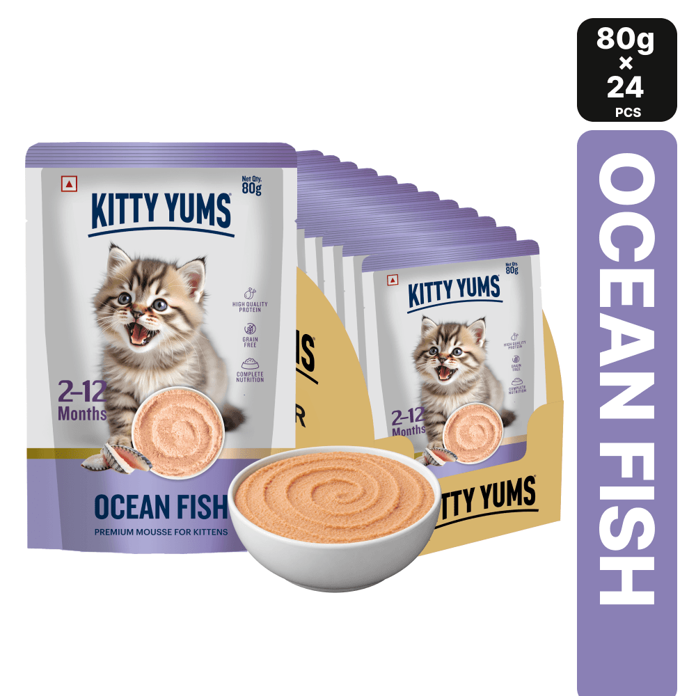Ocean Fish Mousse Kitten 80gm [Pack of 24]