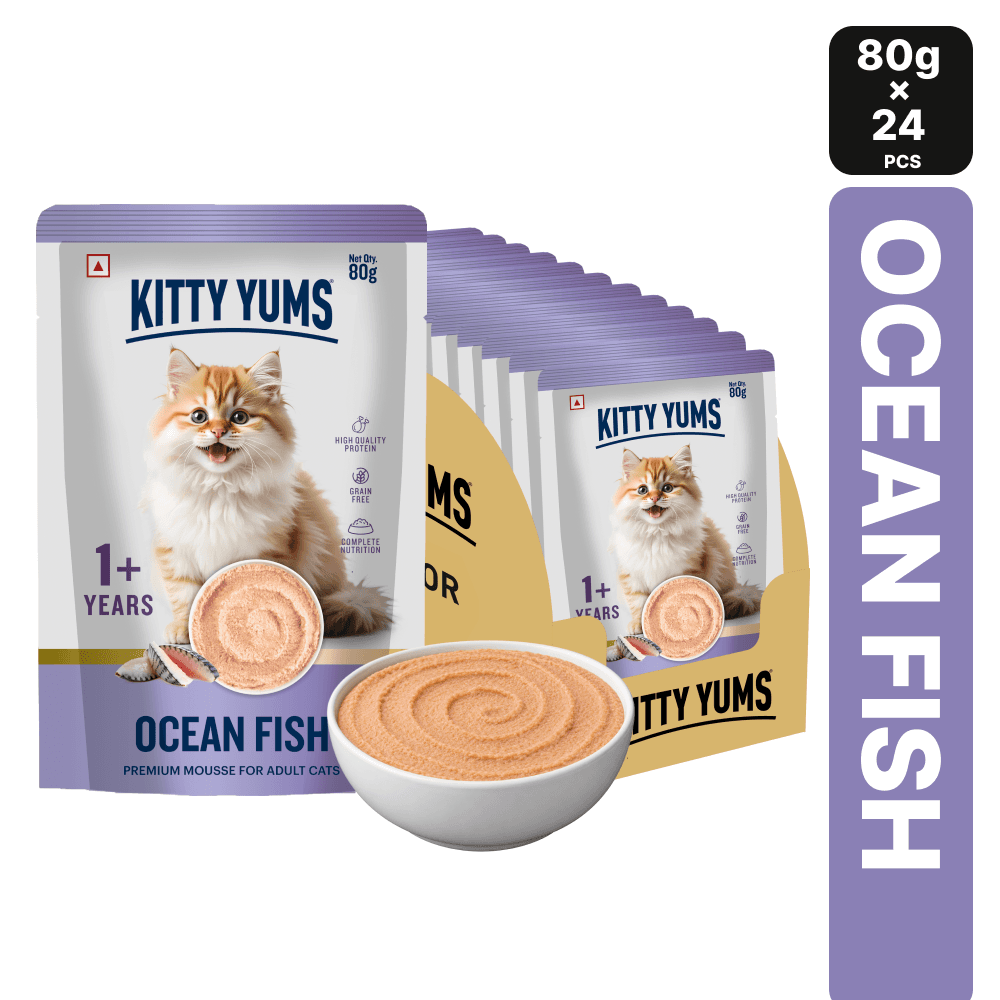 Ocean Fish Mousse Cat 80gm [Pack of 24]