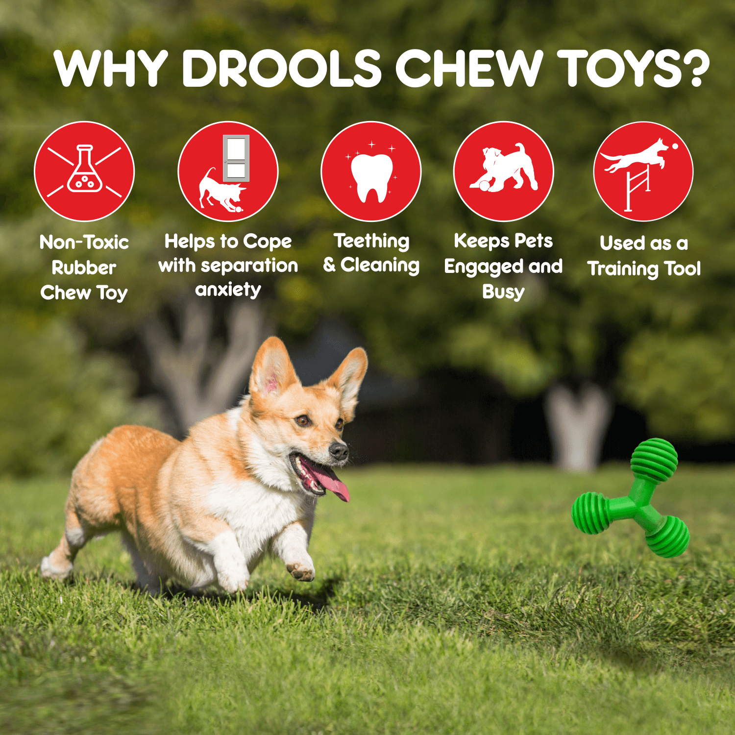 Non-Toxic Rubber Trio Bolt Dog Toy, Puppy/Dog Teething Toy,115 gm