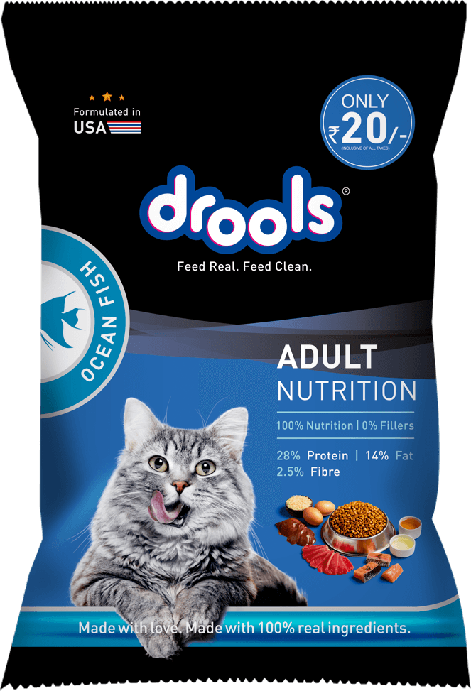 Adult Ocean Fish Dry Cat Food
