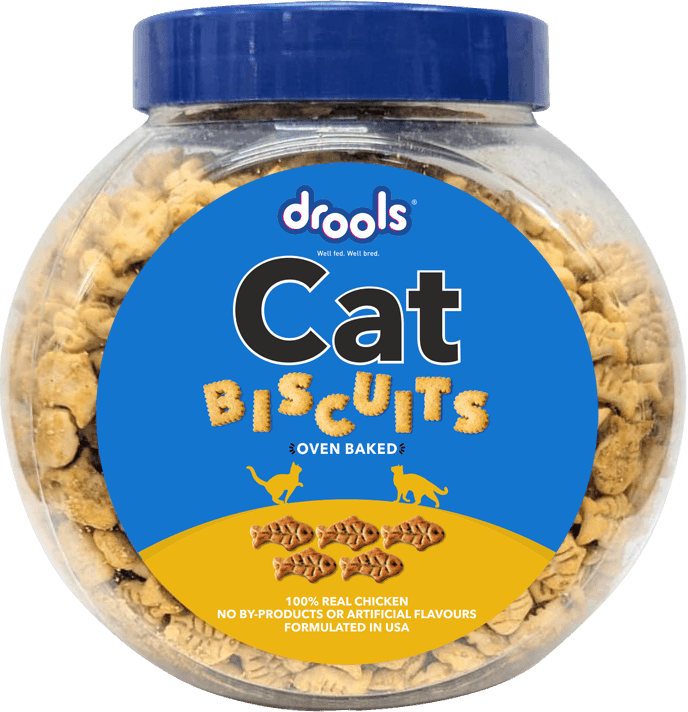 Real Chicken Biscuits, Cat Treats Jar - 400g
