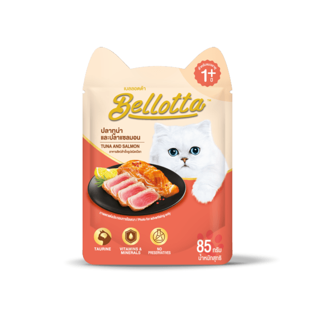 Pouch Salmon 85g