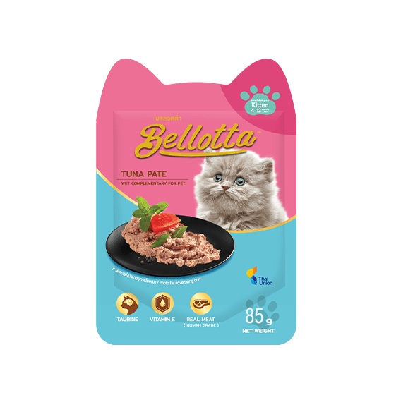 Pouch Tuna Pate 85g