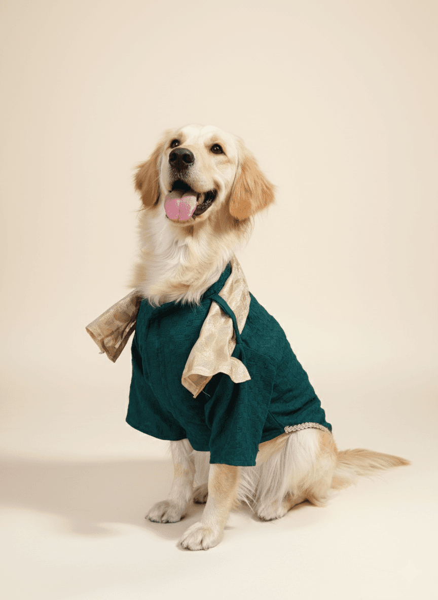 CHEEKu Dark Green Kurta with Dupatta