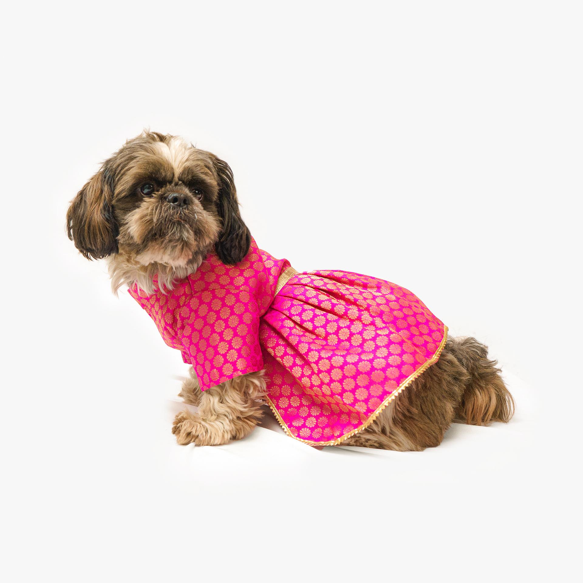 Pawgy Pets Occasion wear Dress Pink