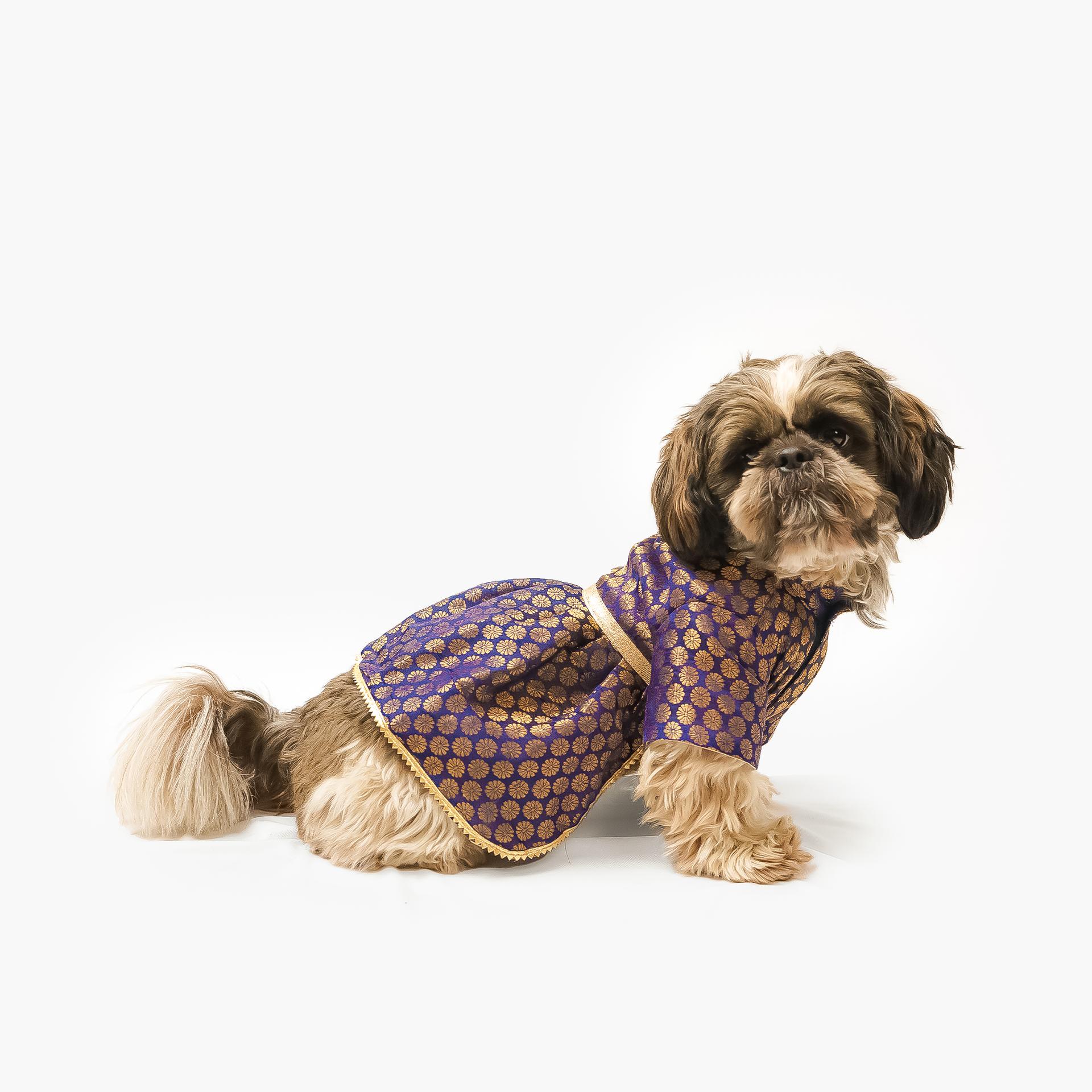 Pawgy Pets Occasion wear Dress Navy Blue