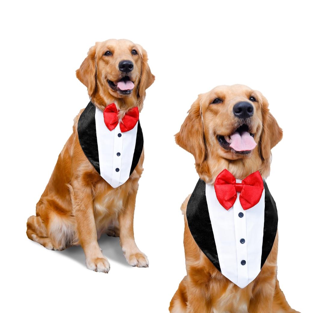 Tuxedo Bandana
