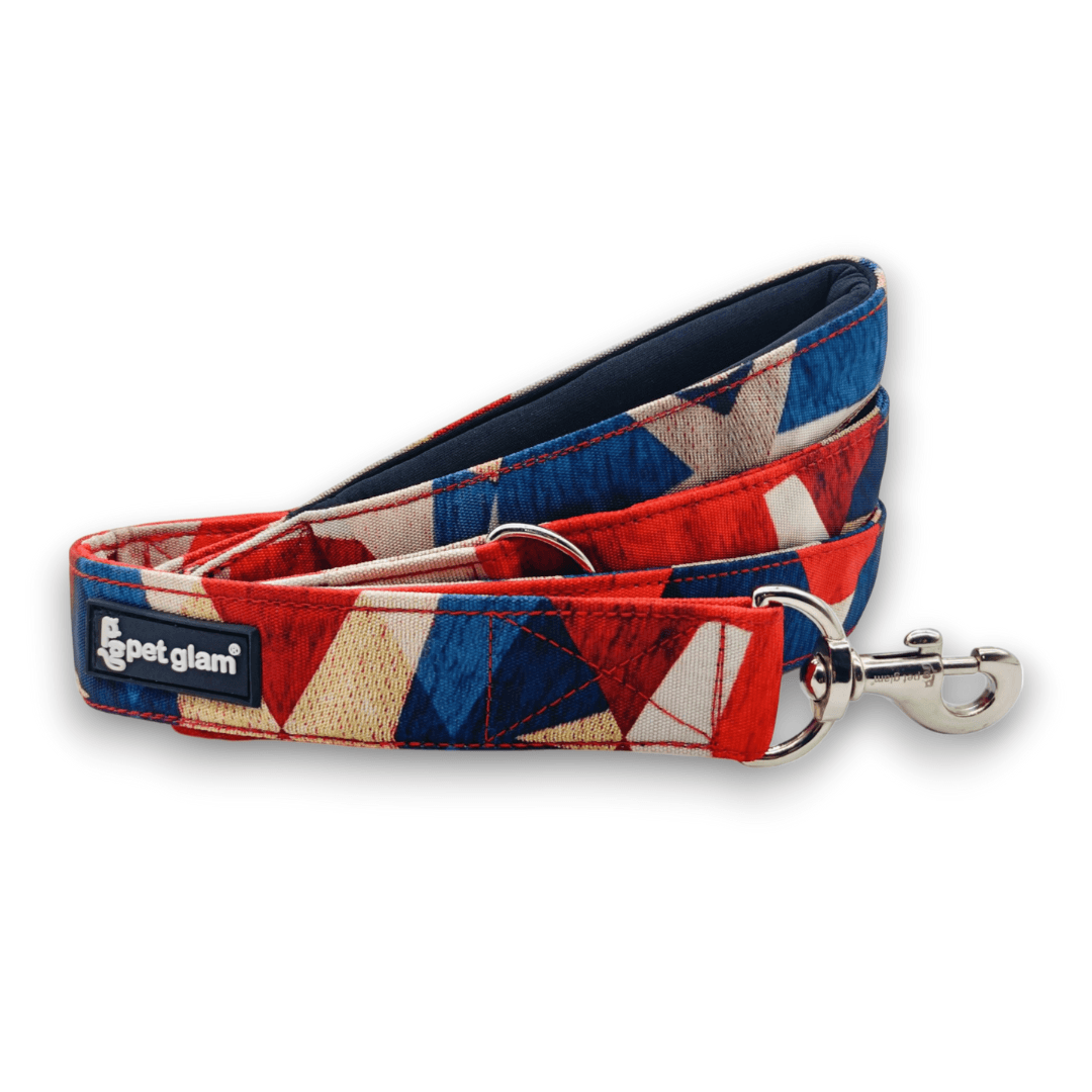 Pet Glam Traffic Dog Leash-Spirit-XL